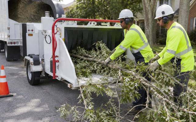 Wood chipper being fed branches during a tree removal job